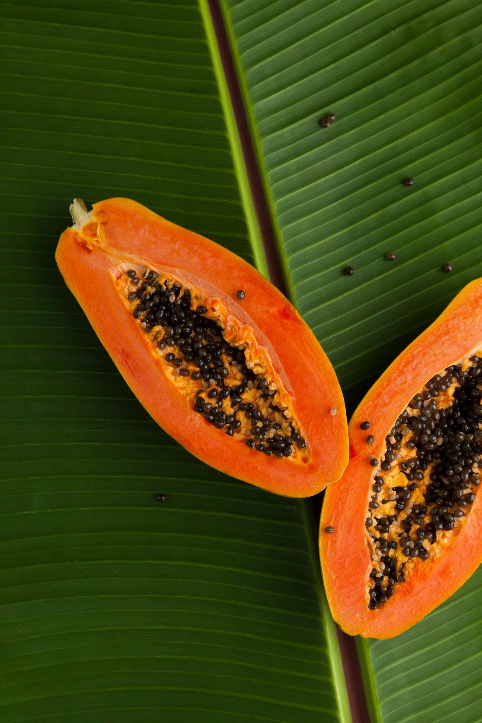 Papaya, exfoliation, enzymes, papain, skincare, glow, brightening, rejuvenation, natural, smooth, radiant, hydration, vitamins, softness, anti-aging, gentle, nourishing, refreshing, organic, renewal